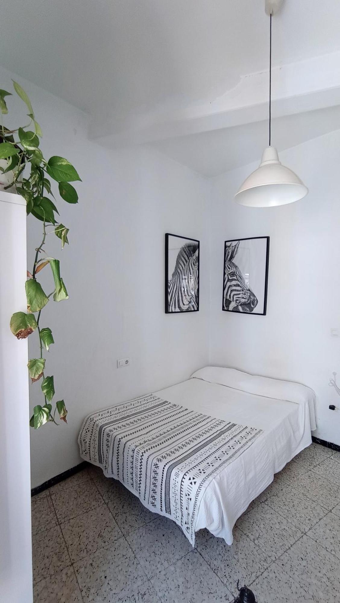 Preciosa Habitacion En Pleno Centro De Sevilla Ideal Para Hacer Turismo Y Vivir La Ciudad 外观 照片